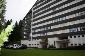 Apartmenthaus Gauenpark Flumserberg